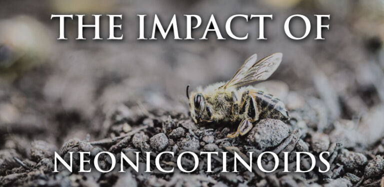 The Impact Of Neonicotinoids | Prairie Moon Nursery