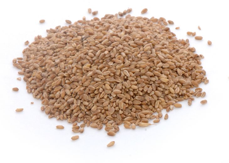 2022 Organic Wheat Straw – Borntrager Dairy