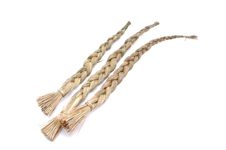Prairie Moon Nursery on X: Did you know we have Sweet Grass Braids? To  many North American indigenous cultures, Sweet Grass is considered a sacred  plant used in prayer, smudging, and other